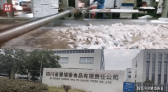 <b>由成都會眾興食物無限公司、四川省榮盛泰集團</b>